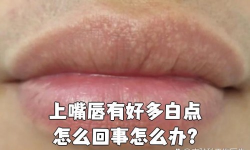 备孕期间适合参加体检吗-专业备孕的人体检不能做的科目平台-备孕能做体检吗