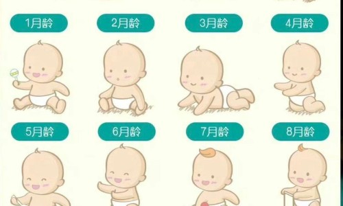 备孕期间适合参加体检吗-专业备孕的人体检不能做的科目平台-备孕能做体检吗