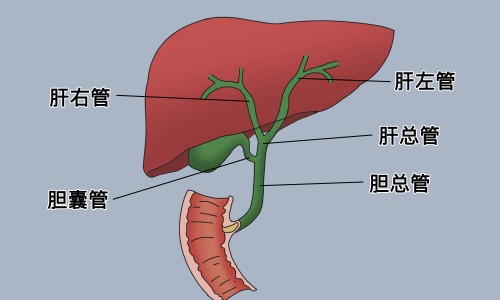 备孕期体检哪些项目不能做-备孕期间适合参加体检吗-专业备孕的人体检不能做的科目平台-备孕能做体检吗