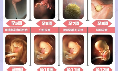 备孕期间适合参加体检吗-专业备孕的人体检不能做的科目平台-备孕能做体检吗